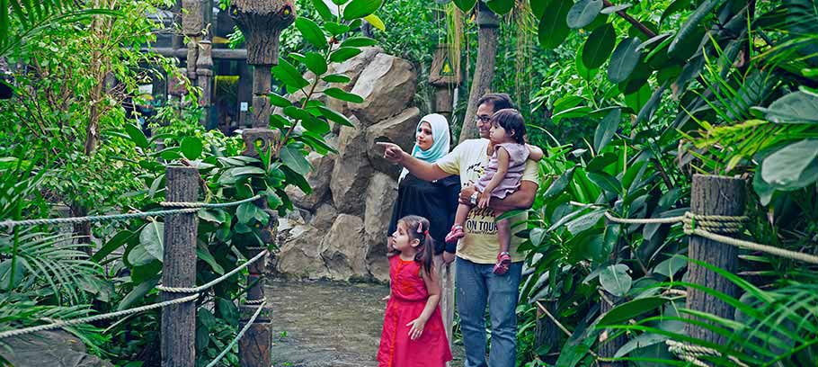 Rainforest Restaurant Muscat In Oman