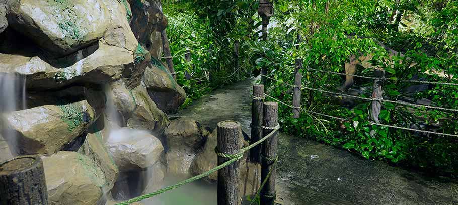 Rainforest Restaurant